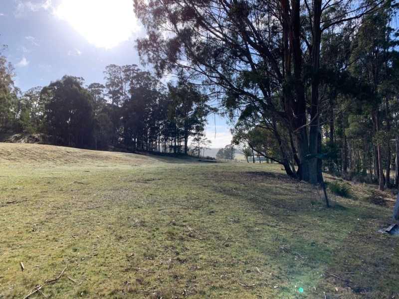 493 Weetah Road, Weetah TAS 7304