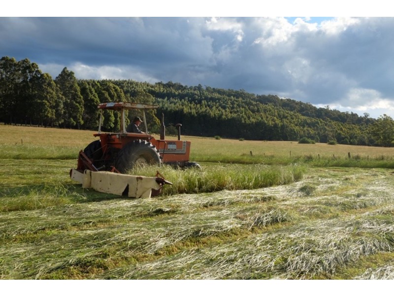 149 Hoods Road, Glengarry TAS 7275