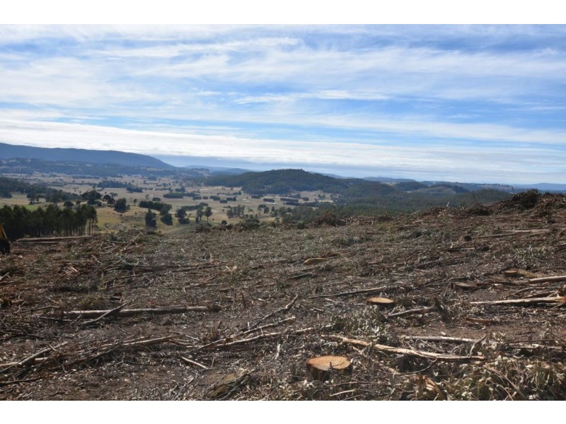 Lot 1 Azels Road, Mole Creek TAS 7304