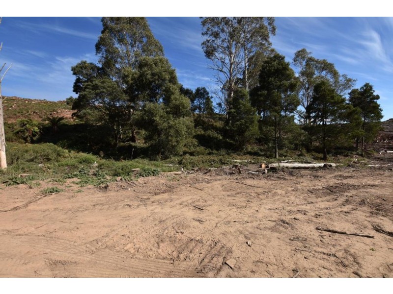 Lot 1 Azels Road, Mole Creek TAS 7304