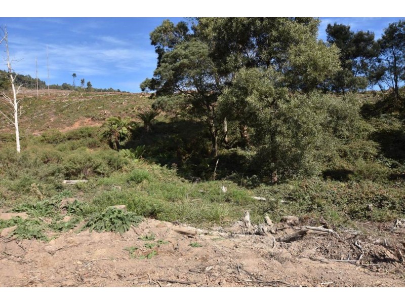 Lot 1 Azels Road, Mole Creek TAS 7304