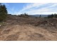 Lot 1 Azels Road, Mole Creek TAS 7304