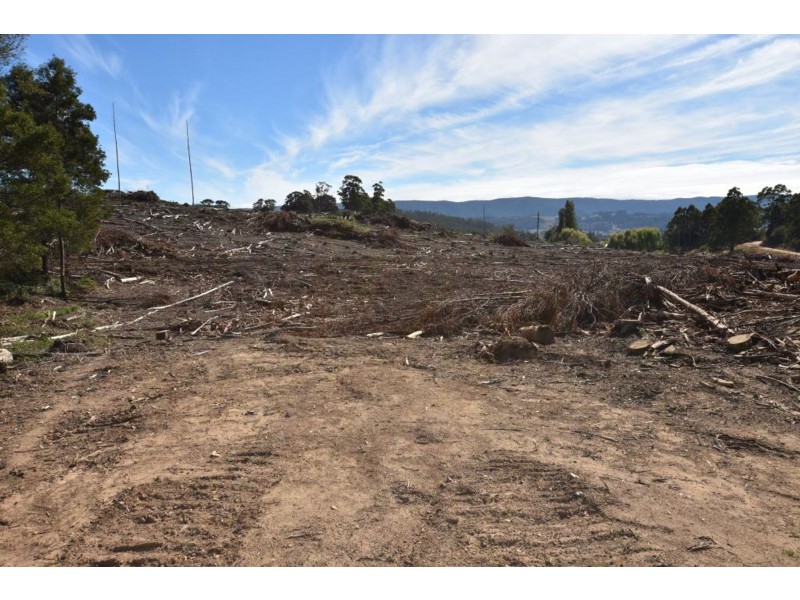 Lot 1 Azels Road, Mole Creek TAS 7304