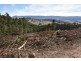 Lot 1 Azels Road, Mole Creek TAS 7304