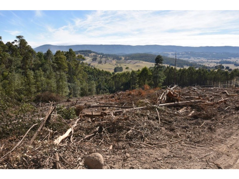 Lot 1 Azels Road, Mole Creek TAS 7304