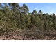 Lot 1 Azels Road, Mole Creek TAS 7304