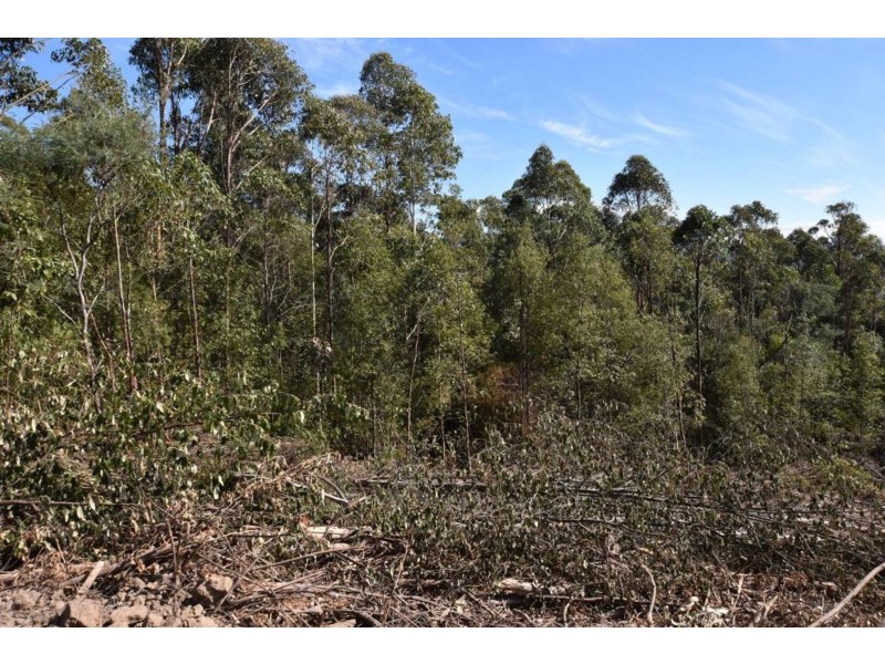 Lot 1 Azels Road, Mole Creek TAS 7304