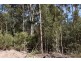 Lot 1 Azels Road, Mole Creek TAS 7304