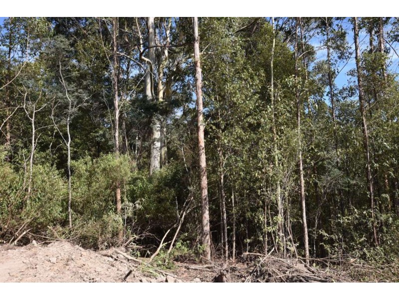 Lot 1 Azels Road, Mole Creek TAS 7304