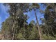 Lot 1 Azels Road, Mole Creek TAS 7304