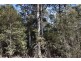 Lot 1 Azels Road, Mole Creek TAS 7304
