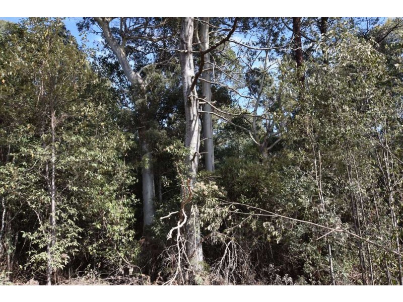 Lot 1 Azels Road, Mole Creek TAS 7304