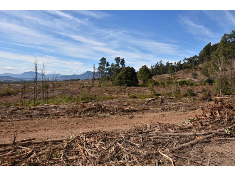 Lot 1 Azels Road, Mole Creek TAS 7304