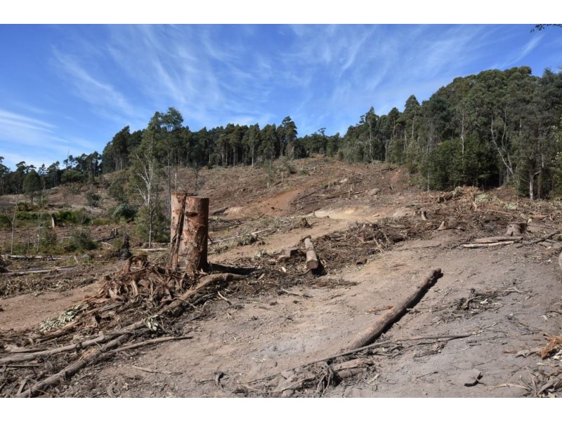 Lot 1 Azels Road, Mole Creek TAS 7304