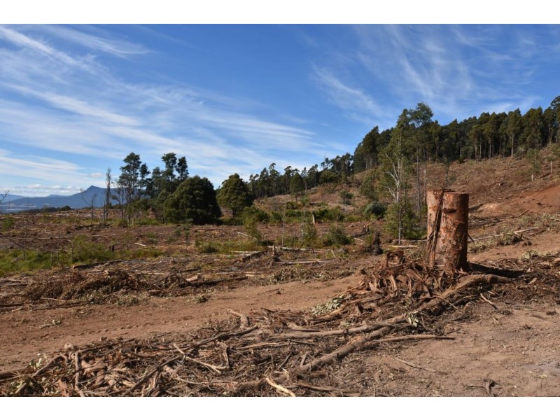 Lot 1 Azels Road, Mole Creek TAS 7304