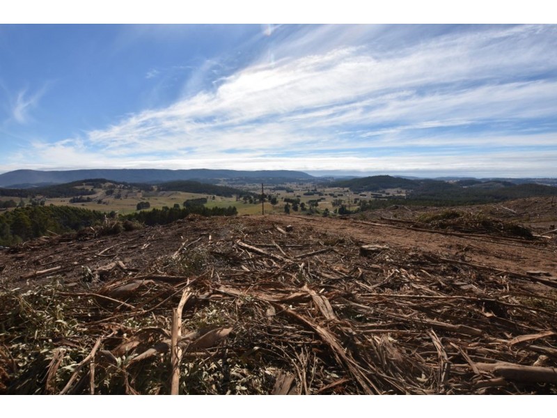 Lot 1 Azels Road, Mole Creek TAS 7304