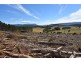Lot 1 Azels Road, Mole Creek TAS 7304