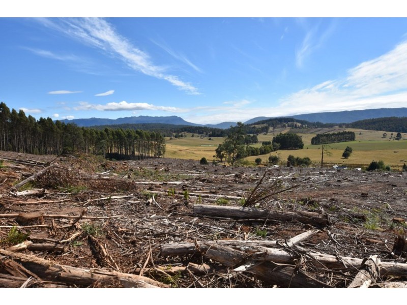 Lot 1 Azels Road, Mole Creek TAS 7304