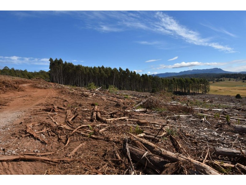 Lot 1 Azels Road, Mole Creek TAS 7304