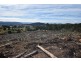 Lot 1 Azels Road, Mole Creek TAS 7304