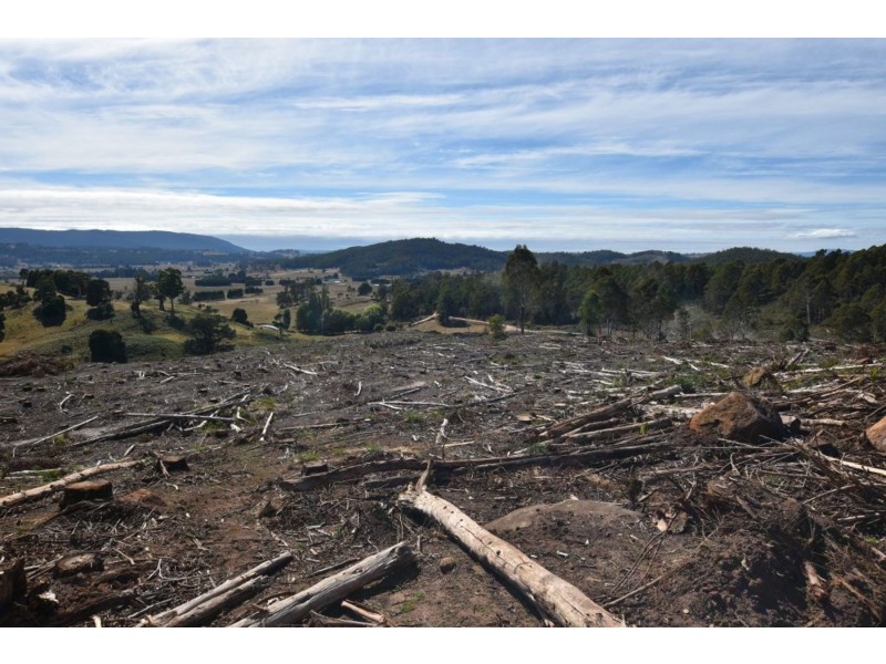 Lot 1 Azels Road, Mole Creek TAS 7304