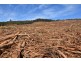 Lot 1 Azels Road, Mole Creek TAS 7304