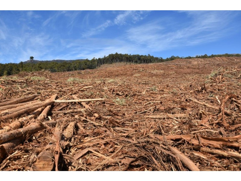 Lot 1 Azels Road, Mole Creek TAS 7304