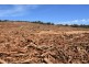 Lot 1 Azels Road, Mole Creek TAS 7304