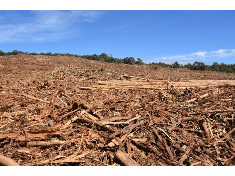 Lot 1 Azels Road, Mole Creek TAS 7304