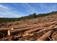 Lot 1 Azels Road, Mole Creek TAS 7304