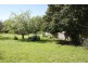 8 Grigg Street, Deloraine TAS 7304
