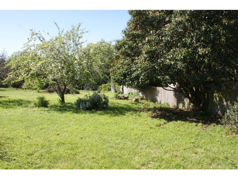 8 Grigg Street, Deloraine TAS 7304