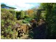 486 Bridgenorth Road., Bridgenorth TAS 7277