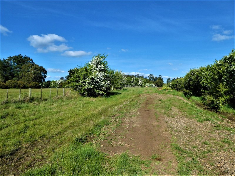 247 Ritchie Street, Westbury TAS 7303