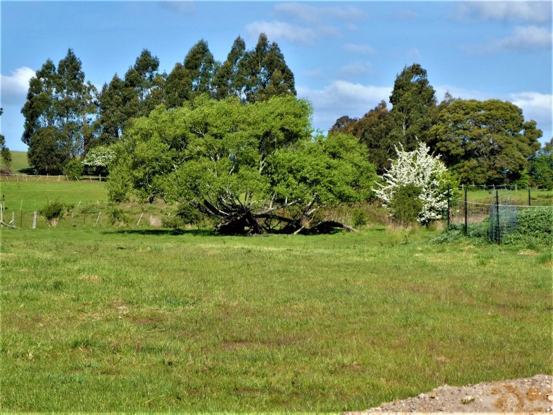 247 Ritchie Street, Westbury TAS 7303