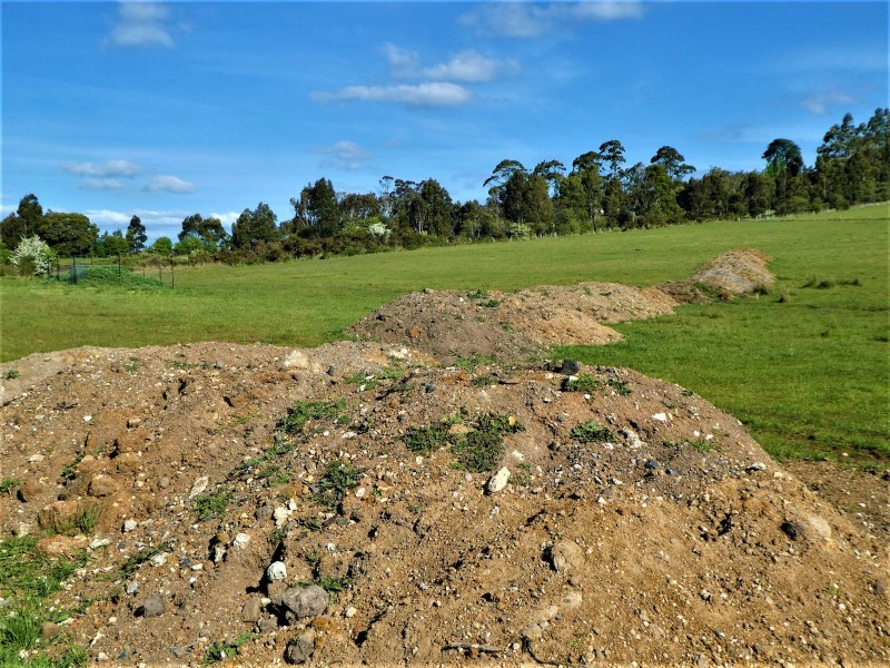 247 Ritchie Street, Westbury TAS 7303