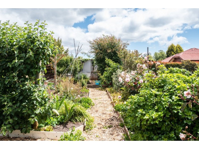 8 Berne Court, Grindelwald TAS 7277