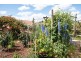 8 Berne Court, Grindelwald TAS 7277