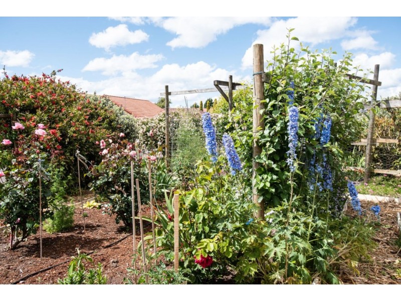 8 Berne Court, Grindelwald TAS 7277