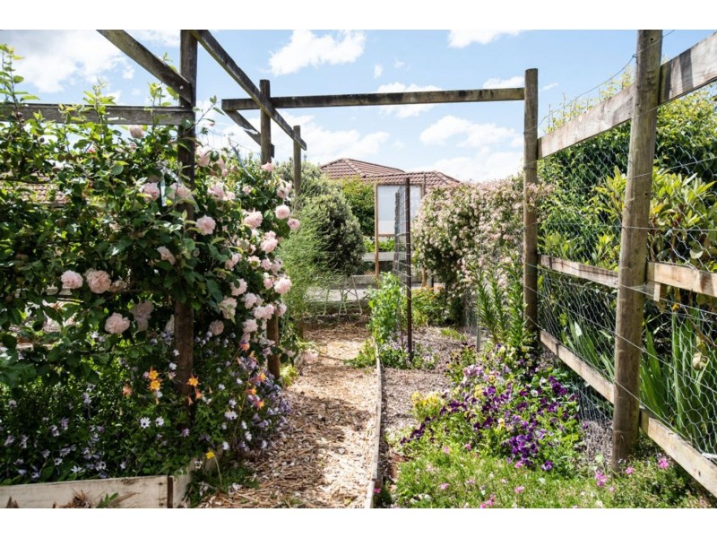 8 Berne Court, Grindelwald TAS 7277