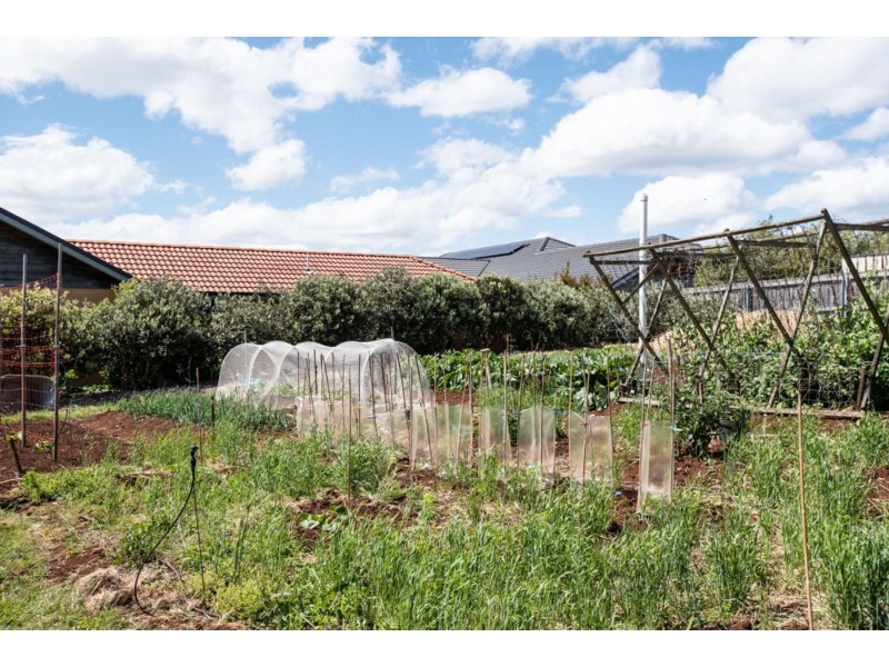 6 Berne Court, Grindelwald TAS 7277