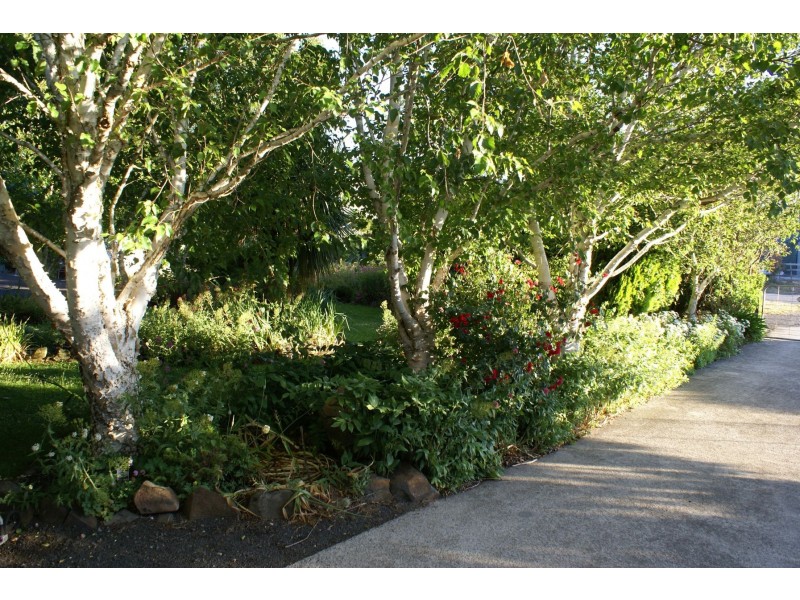 829 Montana Road, Montana TAS 7304