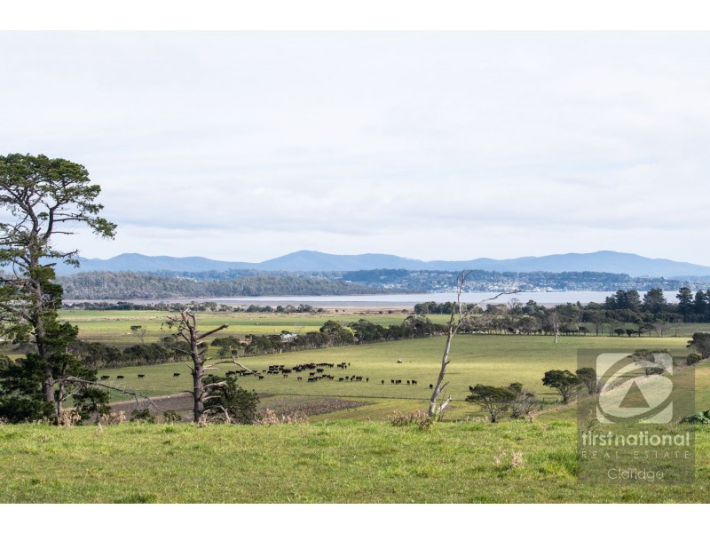 . Brodies Road, Rowella TAS 7270