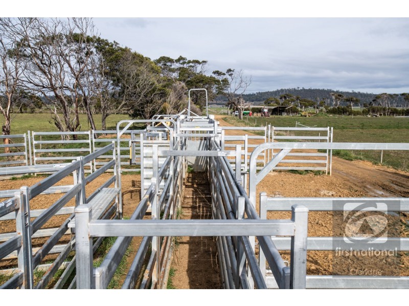 . Brodies Road, Rowella TAS 7270