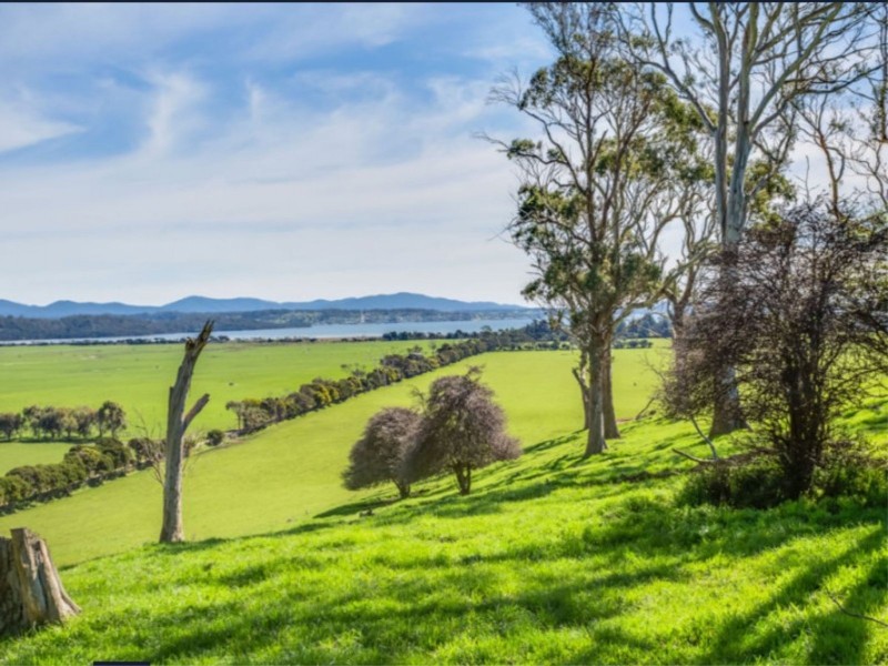 . Brodies Road, Rowella TAS 7270