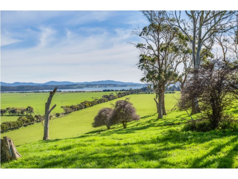 . Brodies Road, Rowella TAS 7270