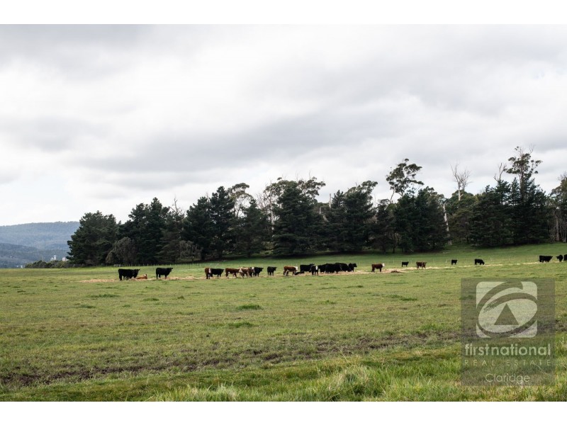 . Brodies Road, Rowella TAS 7270