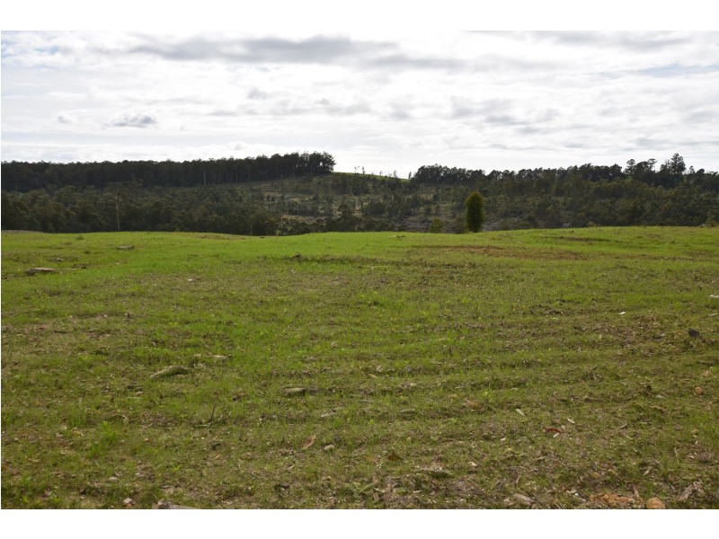 Lot 1 Quamby Brook RD., Quamby Brook TAS 7304