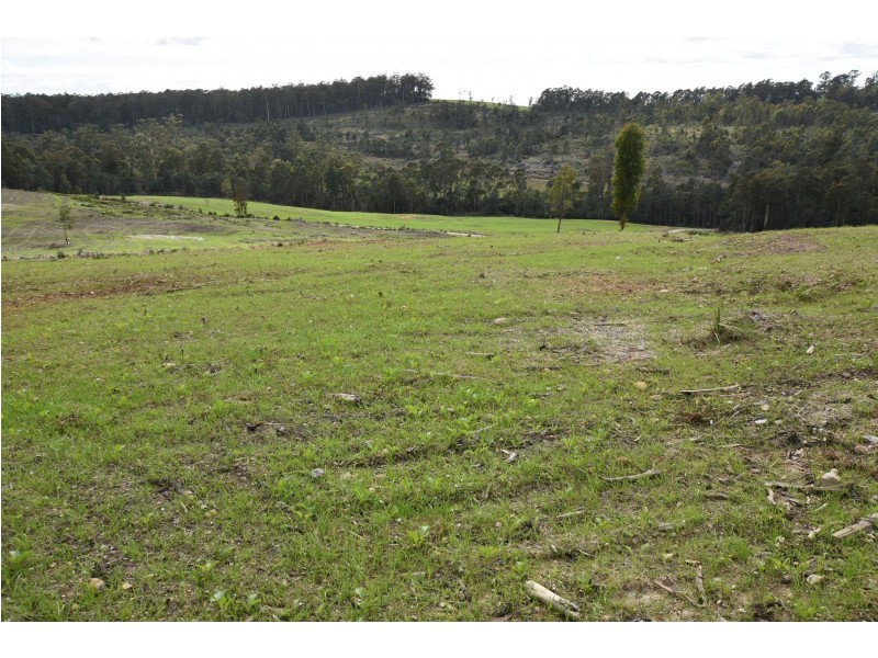 Lot 1 Quamby Brook RD., Quamby Brook TAS 7304