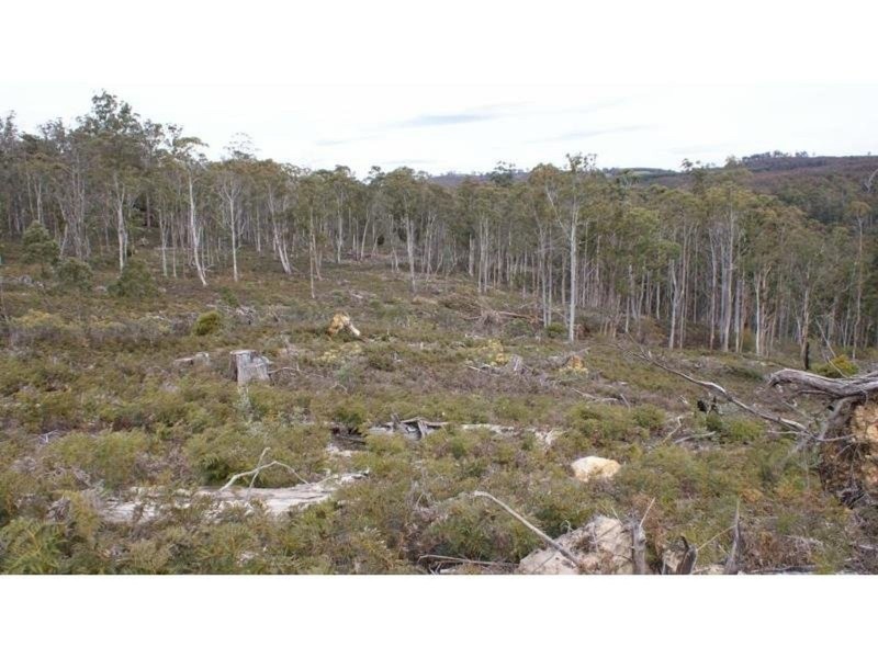 Lot 1 . Pelham Road, Elderslie TAS 7030